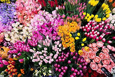 《犹格索托斯的庭院：炼金旅社》Steam页面公开