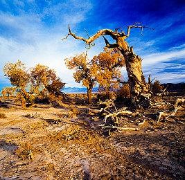 TGA 2024：超级英雄职场喜剧游戏《Dispatch》发布预告片